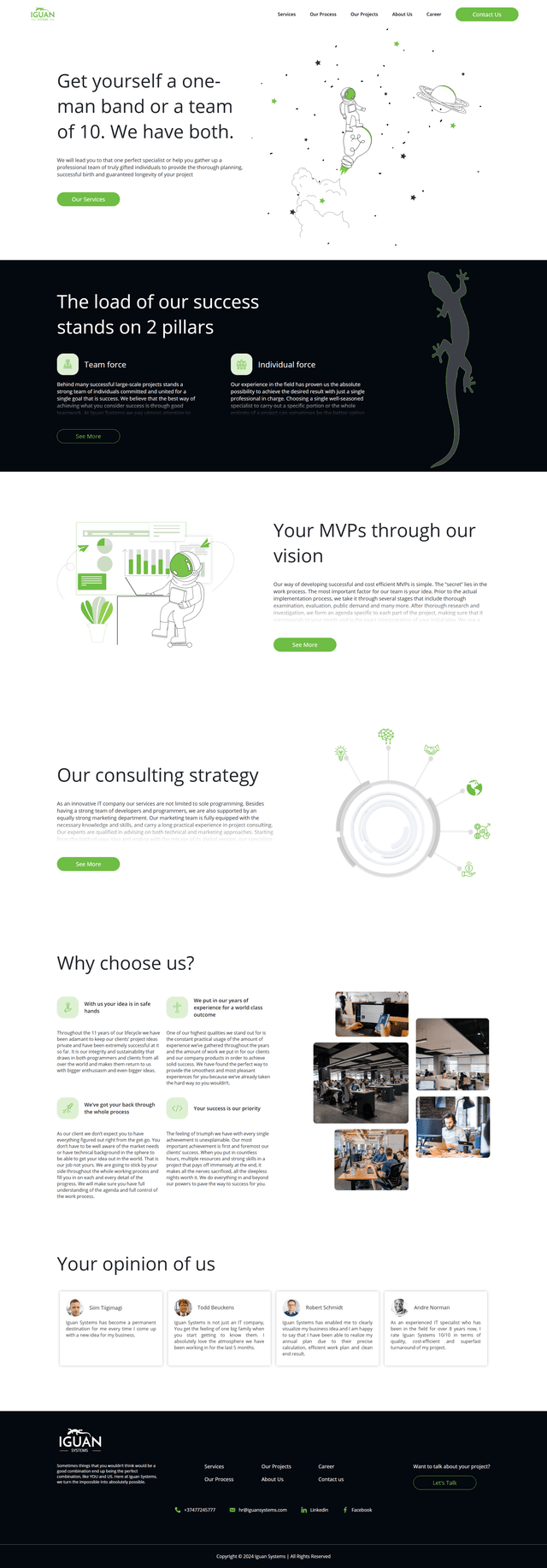 Iguan Systems project image