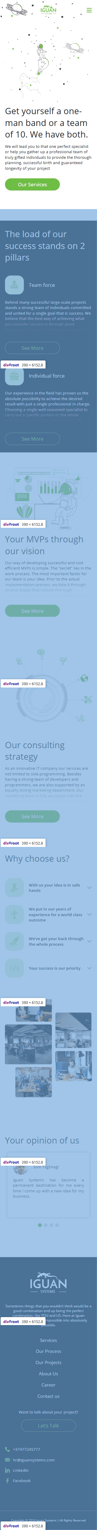 Iguan Systems project image